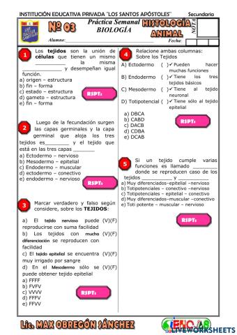 Spb-histología básico