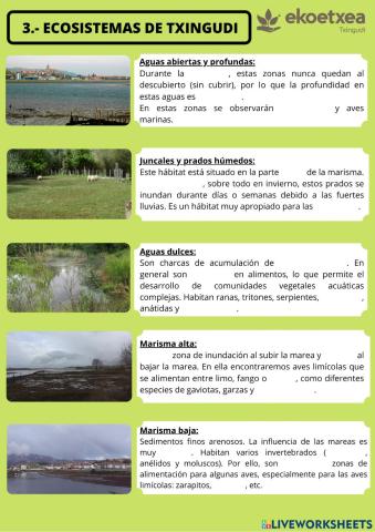 ECOSISTEMAS DE TXINGUDI