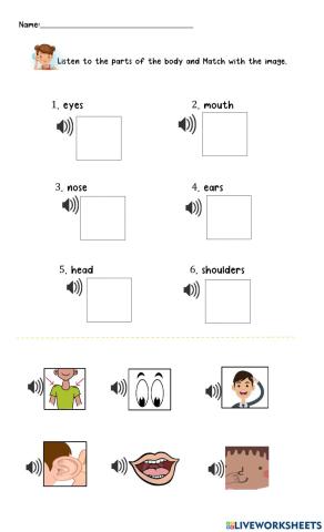 The parts of the body