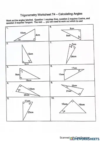 Trigonometry Worksheet: Calculating Angles