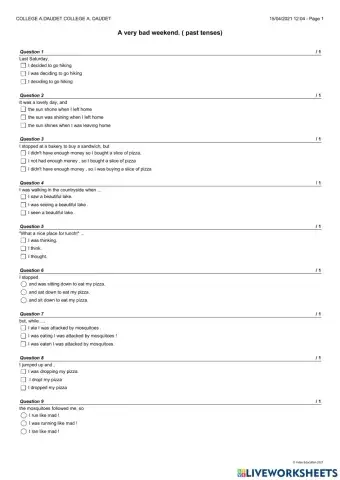 MCQ past tenses : a very bad weekend
