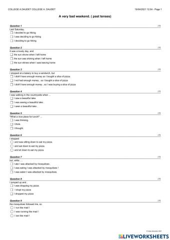MCQ past tenses : a very bad weekend