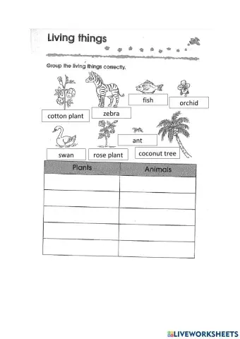 Living and non-living things