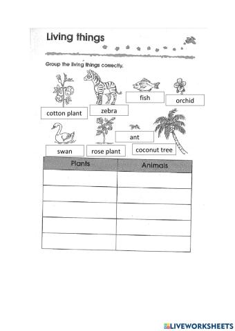 Living and non-living things