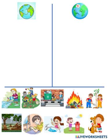 Cuidado del medio ambiente