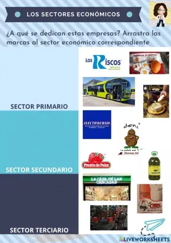 Los sectores económicos