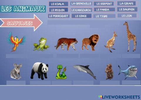 Les animaux sauvages