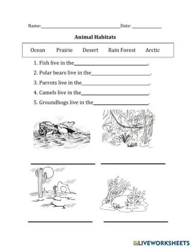 Science in class Assignment