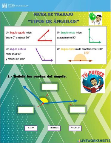 Clases de ángulos