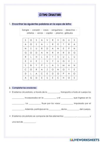 Sistema circulatorio