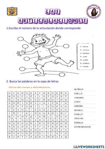 LAS ARTICULACIONES