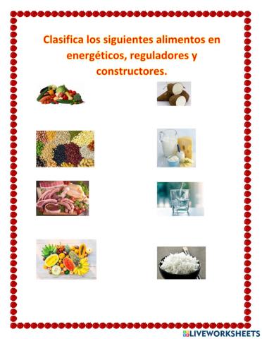 Clasificación de los alimentos según su función