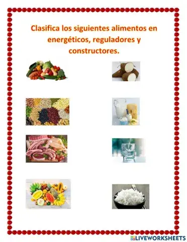 Clasificación de los alimentos según su función