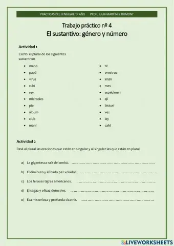 Sustantivos género y número