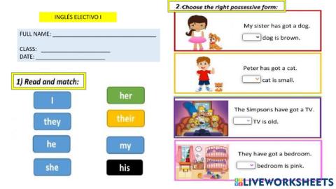 Possessive adjectives - his,her,their
