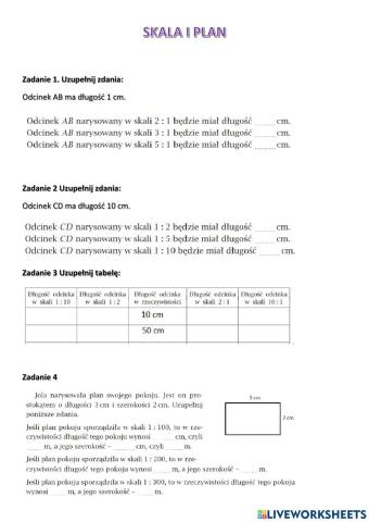 Skala i plan karta pracy