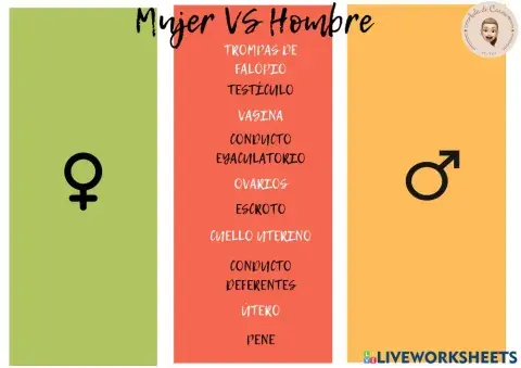 Mujeres VS Hombres