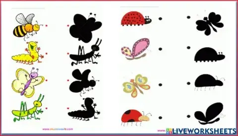 Εντομα σκιες