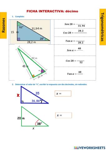 Trabajo de Matemática