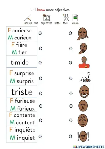 More French adjectives