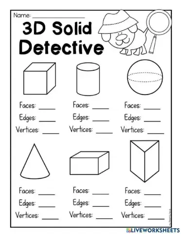 3D Shape Detective