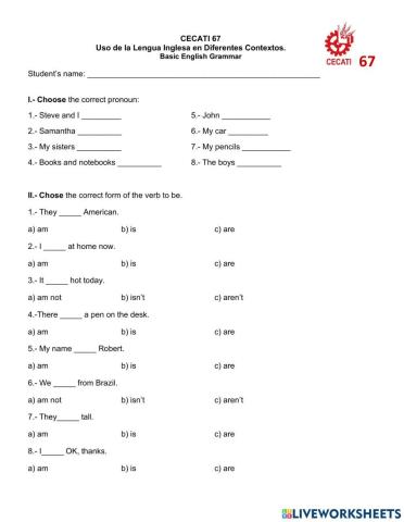 Basic English Grammar