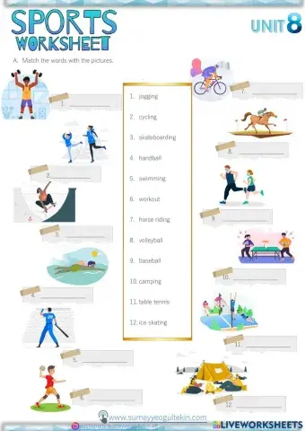 5.8 fitness (sports acitivities)