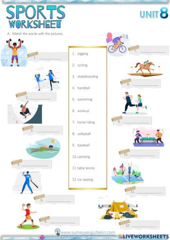 5.8 fitness (sports acitivities)