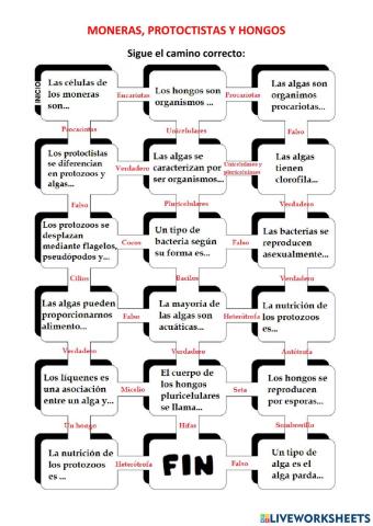 Laberinto moneras, protoctistas y hongos