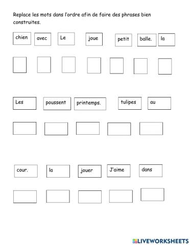 Replace les mots dans l'ordre