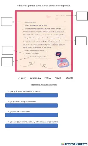 La carta y sus partes