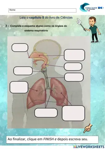 Sistema respiratório
