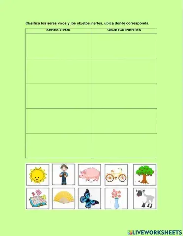 Seres vivos y objetos inertes