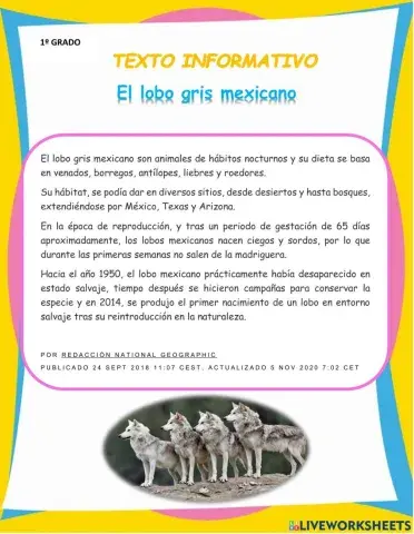 Texto Informativo Lobo Gris Mexicano