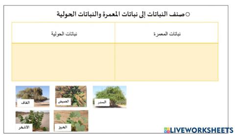 المناخ بلادي