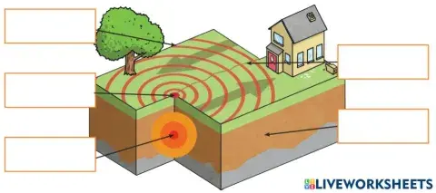 The earthquake parts