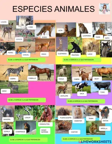 Especies animales