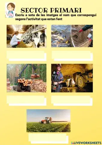 Sector primari