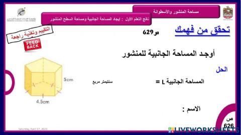 المساحة الجانبية للمنشور