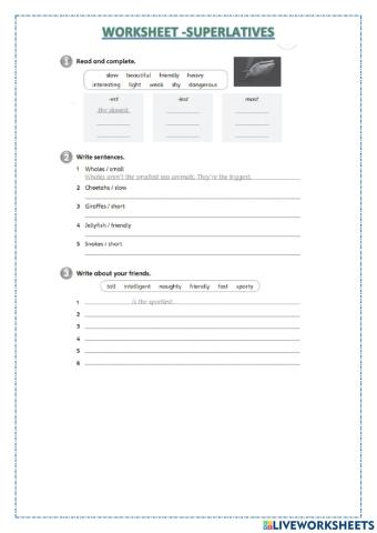 Worksheet superlatives 5th