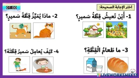 سنورة القطة