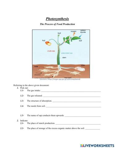 G7-Food production