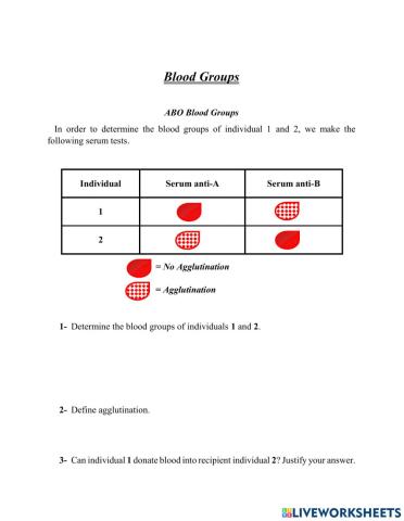 G8 Quiz