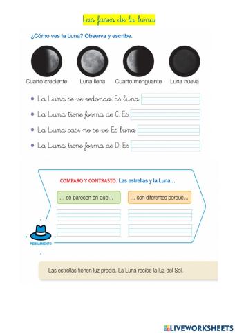 Fases de la luna