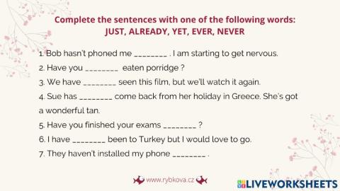 Present perfect 2 (p.8)