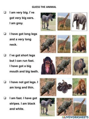 Guess animal