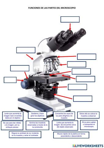 Funciones de las partes del microscopio