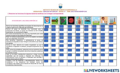 Bacterias Benéficas