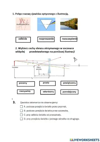 Próba-jak działa liveworksheets