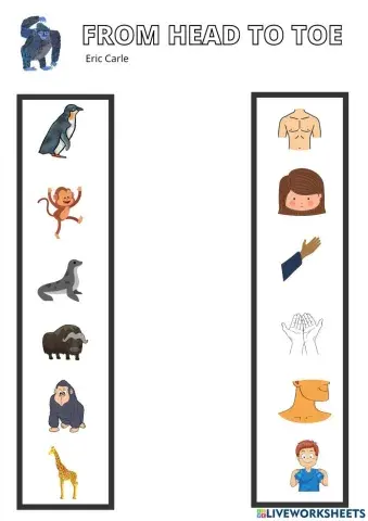 From head to toe worksheet